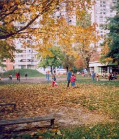 Travno