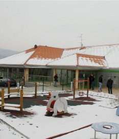 Šumska jagoda