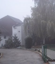 Žirek